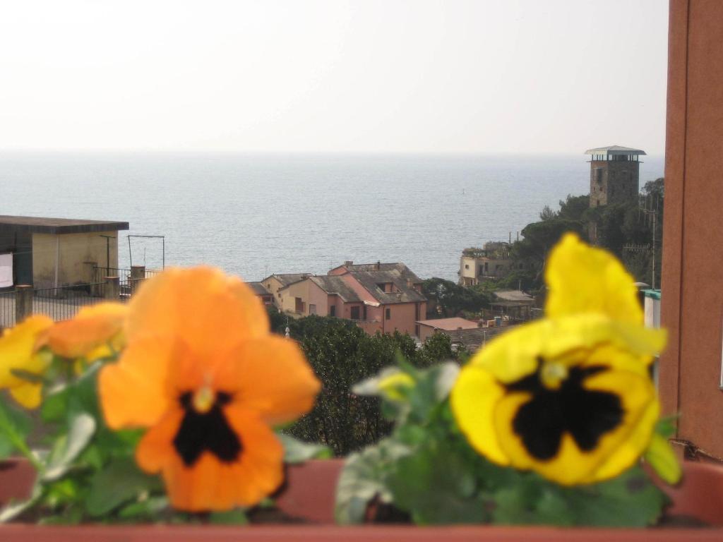 Villa Cristina Monterosso al Mare Exteriör bild